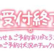 ヒメ日記 2024/11/16 00:24 投稿 かれん 山口周南ちゃんこ