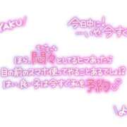 ヒメ日記 2024/11/20 13:23 投稿 かれん 山口周南ちゃんこ