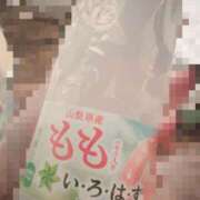 ヒメ日記 2025/05/04 13:39 投稿 かれん 山口周南ちゃんこ