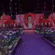 ヒメ日記 2025/02/14 11:03 投稿 ふうか 厚木人妻城