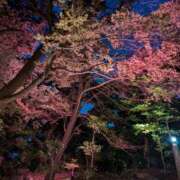 ヒメ日記 2025/03/07 12:42 投稿 ふうか 厚木人妻城