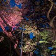 ヒメ日記 2025/03/13 06:09 投稿 ふうか 厚木人妻城