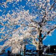 ヒメ日記 2025/04/08 10:33 投稿 ふうか 厚木人妻城