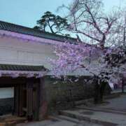 ヒメ日記 2025/04/26 08:42 投稿 ふうか 厚木人妻城