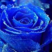 ヒメ日記 2025/06/17 11:13 投稿 ふうか 厚木人妻城