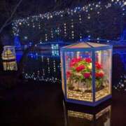 ヒメ日記 2025/07/14 15:08 投稿 ふうか 厚木人妻城