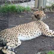 ヒメ日記 2025/07/20 12:59 投稿 ふうか 厚木人妻城