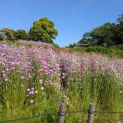 ヒメ日記 2025/08/24 19:28 投稿 ふうか 厚木人妻城