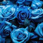 ヒメ日記 2025/10/16 15:15 投稿 ふうか 厚木人妻城