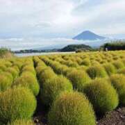 ヒメ日記 2025/11/28 09:42 投稿 ふうか 厚木人妻城