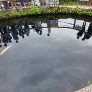 ヒメ日記 2025/12/09 10:10 投稿 ふうか 厚木人妻城