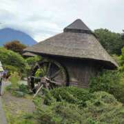 ヒメ日記 2026/01/22 10:25 投稿 ふうか 厚木人妻城