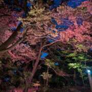 ヒメ日記 2026/03/04 12:24 投稿 ふうか 厚木人妻城