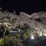 ヒメ日記 2026/04/06 11:05 投稿 ふうか 厚木人妻城