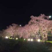 ヒメ日記 2026/04/09 18:18 投稿 ふうか 厚木人妻城