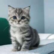 ヒメ日記 2025/07/02 23:02 投稿 のぞみ 妊婦母乳風俗専門店ミルクランド