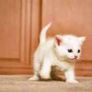 ヒメ日記 2025/07/08 01:25 投稿 のぞみ 妊婦母乳風俗専門店ミルクランド