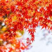 ヒメ日記 2025/11/12 16:52 投稿 のぞみ 妊婦母乳風俗専門店ミルクランド