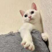 ヒメ日記 2025/11/20 07:41 投稿 のぞみ 妊婦母乳風俗専門店ミルクランド