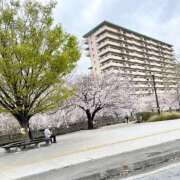 ヒメ日記 2025/04/04 15:35 投稿 たかなん 山梨デリヘル 絆