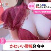 ヒメ日記 2025/04/03 07:15 投稿 みずき マリン千姫