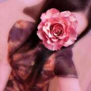 ヒメ日記 2025/04/12 04:16 投稿 みずき マリン千姫