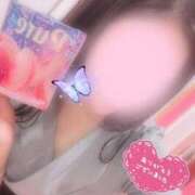 ヒメ日記 2025/07/31 01:26 投稿 みずき マリン千姫