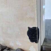 ヒメ日記 2025/10/18 23:58 投稿 アユナ【清楚可愛いといえば】 ドMなバニーちゃん和歌山店