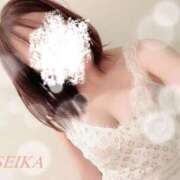 ヒメ日記 2025/02/01 10:10 投稿 月野星花(つきのせいか) 鶯谷ナンバーワン