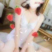 ヒメ日記 2025/02/03 15:30 投稿 月野星花(つきのせいか) 鶯谷ナンバーワン