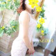 ヒメ日記 2025/02/15 11:20 投稿 月野星花(つきのせいか) 鶯谷ナンバーワン