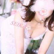 ヒメ日記 2025/03/30 13:14 投稿 月野星花(つきのせいか) 鶯谷ナンバーワン