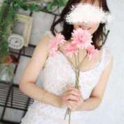 ヒメ日記 2025/04/12 10:35 投稿 月野星花(つきのせいか) 鶯谷ナンバーワン