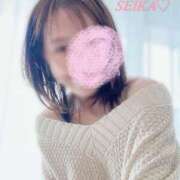 ヒメ日記 2025/04/16 21:30 投稿 月野星花(つきのせいか) 鶯谷ナンバーワン