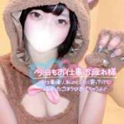 ヒメ日記 2024/12/11 17:04 投稿 きらり まじらぶ！