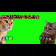 ヒメ日記 2024/12/17 09:25 投稿 すいか 谷町豊満奉仕倶楽部