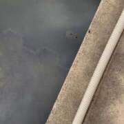 ヒメ日記 2025/10/08 20:14 投稿 すいか 谷町豊満奉仕倶楽部