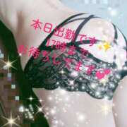 ヒメ日記 2025/07/19 11:31 投稿 水嶋かれん マダムと紳士