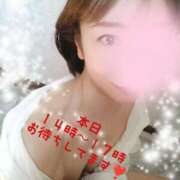 ヒメ日記 2025/07/26 11:41 投稿 水嶋かれん マダムと紳士