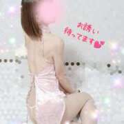 ヒメ日記 2025/08/26 07:51 投稿 水嶋かれん マダムと紳士