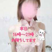 ヒメ日記 2025/09/11 12:11 投稿 水嶋かれん マダムと紳士