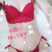 ヒメ日記 2025/09/13 08:01 投稿 水嶋かれん マダムと紳士