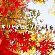 ヒメ日記 2024/11/16 00:11 投稿 愛美 越谷熟女デリヘル マダムエプロン