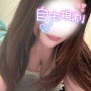 ヒメ日記 2024/12/11 18:54 投稿 ももな 豊満倶楽部