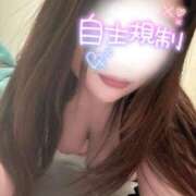 ヒメ日記 2025/03/31 08:20 投稿 ももな 豊満倶楽部