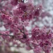 ヒメ日記 2025/05/15 06:17 投稿 ぼたん 奥様はエンジェル　立川店