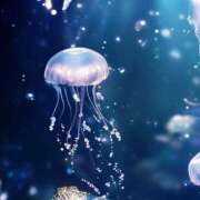 ヒメ日記 2025/05/27 06:31 投稿 ぼたん 奥様はエンジェル　立川店