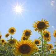 ヒメ日記 2025/07/31 07:00 投稿 ぼたん 奥様はエンジェル　立川店