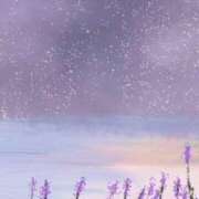 ヒメ日記 2025/08/06 05:47 投稿 ぼたん 奥様はエンジェル　立川店