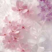 ヒメ日記 2025/11/06 07:14 投稿 ぼたん 奥様はエンジェル　立川店